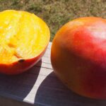 koktajl mango