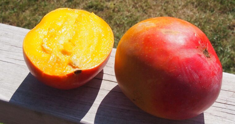 Koktajl z mango