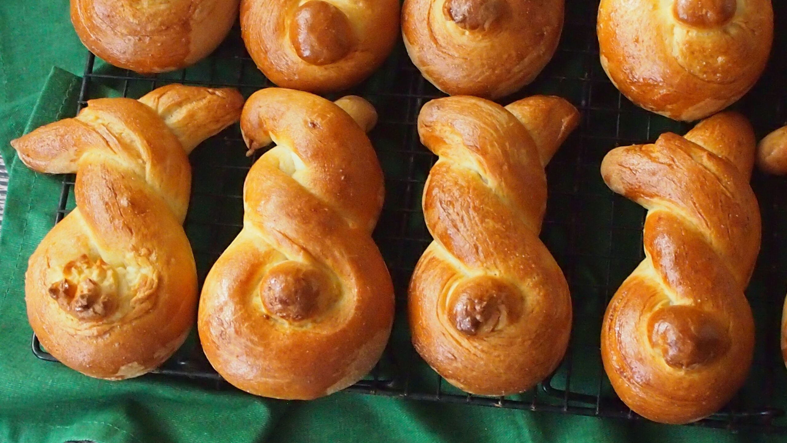 brioche zajączki